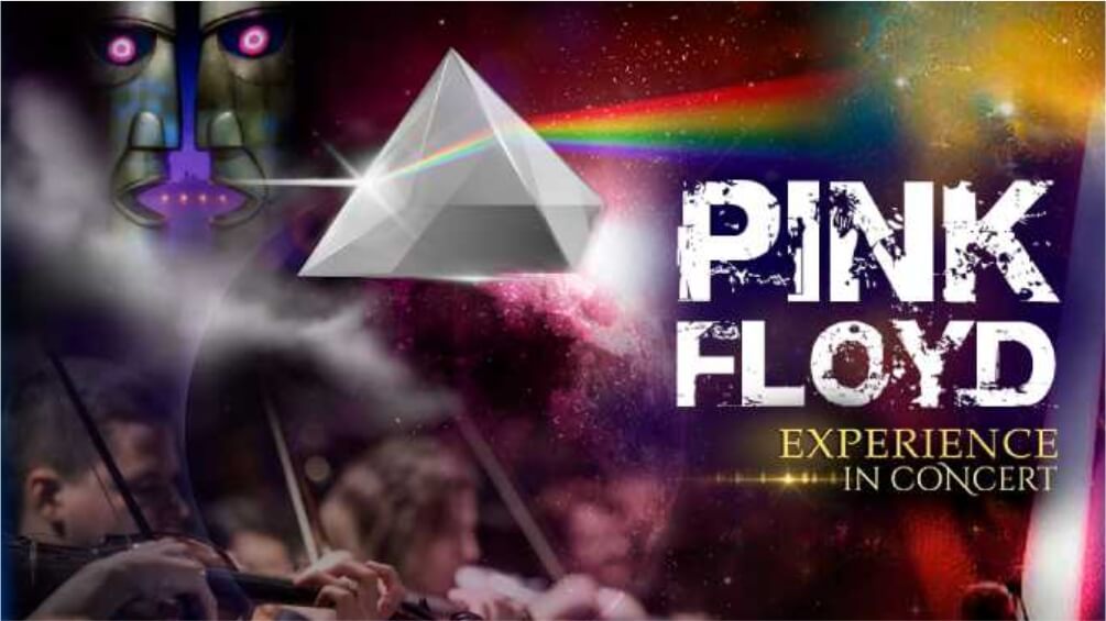 Paraibano faz game de músico que viralizou ao cantar Pink Floyd 'em inglês'  - WSCOM