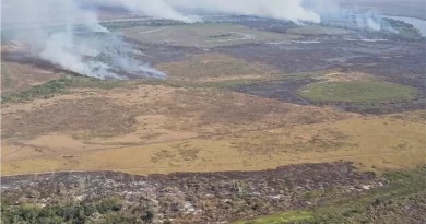 Planeta pode aquecer 3,1ºC a 3,6ºC com emissões de gases